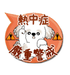 シーズー犬 2025「とにかく暑い！」（個別スタンプ：1）