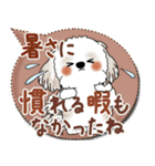 シーズー犬 2025「とにかく暑い！」（個別スタンプ：4）