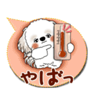 シーズー犬 2025「とにかく暑い！」（個別スタンプ：6）