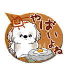 シーズー犬 2025「とにかく暑い！」（個別スタンプ：7）