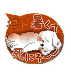 シーズー犬 2025「とにかく暑い！」（個別スタンプ：14）