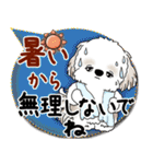 シーズー犬 2025「とにかく暑い！」（個別スタンプ：17）