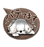 シーズー犬 2025「とにかく暑い！」（個別スタンプ：20）