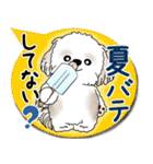 シーズー犬 2025「とにかく暑い！」（個別スタンプ：22）