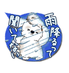 シーズー犬 2025「とにかく暑い！」（個別スタンプ：24）
