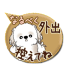 シーズー犬 2025「とにかく暑い！」（個別スタンプ：25）