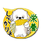 シーズー犬 2025「とにかく暑い！」（個別スタンプ：27）