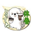 シーズー犬 2025「とにかく暑い！」（個別スタンプ：28）