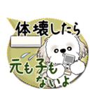 シーズー犬 2025「とにかく暑い！」（個別スタンプ：30）