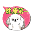 シーズー犬 2025「とにかく暑い！」（個別スタンプ：33）