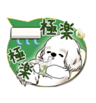 シーズー犬 2025「とにかく暑い！」（個別スタンプ：34）
