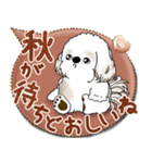 シーズー犬 2025「とにかく暑い！」（個別スタンプ：39）