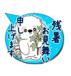 シーズー犬 2025「とにかく暑い！」（個別スタンプ：40）