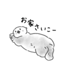 夏に溶けるラッコらこ（個別スタンプ：8）