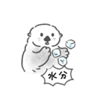 夏に溶けるラッコらこ（個別スタンプ：14）