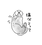 夏に溶けるラッコらこ（個別スタンプ：16）
