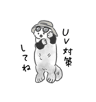 夏に溶けるラッコらこ（個別スタンプ：20）