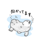 夏に溶けるラッコらこ（個別スタンプ：22）