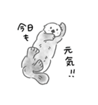 夏に溶けるラッコらこ（個別スタンプ：33）