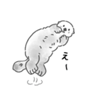 夏に溶けるラッコらこ（個別スタンプ：34）