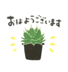 ずっとつかえる♡大人の多肉・観葉植物（個別スタンプ：1）