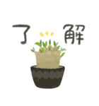 ずっとつかえる♡大人の多肉・観葉植物（個別スタンプ：4）