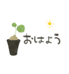 ずっとつかえる♡大人の多肉・観葉植物（個別スタンプ：5）