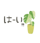 ずっとつかえる♡大人の多肉・観葉植物（個別スタンプ：6）