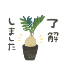 ずっとつかえる♡大人の多肉・観葉植物（個別スタンプ：8）