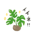 ずっとつかえる♡大人の多肉・観葉植物（個別スタンプ：10）