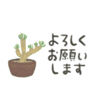 ずっとつかえる♡大人の多肉・観葉植物（個別スタンプ：12）
