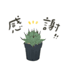 ずっとつかえる♡大人の多肉・観葉植物（個別スタンプ：18）