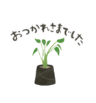 ずっとつかえる♡大人の多肉・観葉植物（個別スタンプ：21）