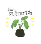 ずっとつかえる♡大人の多肉・観葉植物（個別スタンプ：29）
