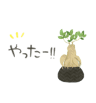 ずっとつかえる♡大人の多肉・観葉植物（個別スタンプ：32）