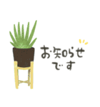 ずっとつかえる♡大人の多肉・観葉植物（個別スタンプ：36）