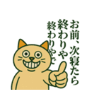 狂気ネコの日常スタンプ（個別スタンプ：3）