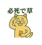 狂気ネコの日常スタンプ（個別スタンプ：11）