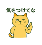 狂気ネコの日常スタンプ（個別スタンプ：28）