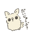 シュールなチワワのスタンプ（個別スタンプ：9）