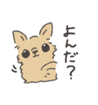 シュールなチワワのスタンプ（個別スタンプ：13）
