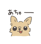 シュールなチワワのスタンプ（個別スタンプ：20）