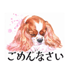 水彩感じるキャバリアスタンプ（個別スタンプ：19）