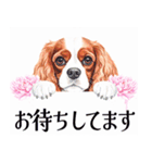 水彩感じるキャバリアスタンプ（個別スタンプ：22）
