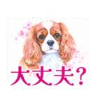 水彩感じるキャバリアスタンプ（個別スタンプ：27）