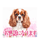 水彩感じるキャバリアスタンプ（個別スタンプ：30）