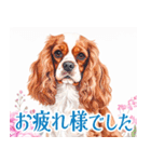 水彩感じるキャバリアスタンプ（個別スタンプ：33）
