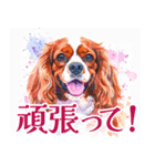 水彩感じるキャバリアスタンプ（個別スタンプ：34）