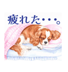 水彩感じるキャバリアスタンプ（個別スタンプ：35）