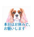 水彩感じるキャバリアスタンプ（個別スタンプ：38）